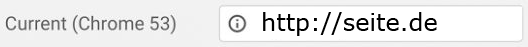 Logo SSL-Google Chrome Version 53